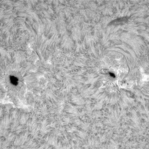 11月3日の太陽①（3879，3878）　