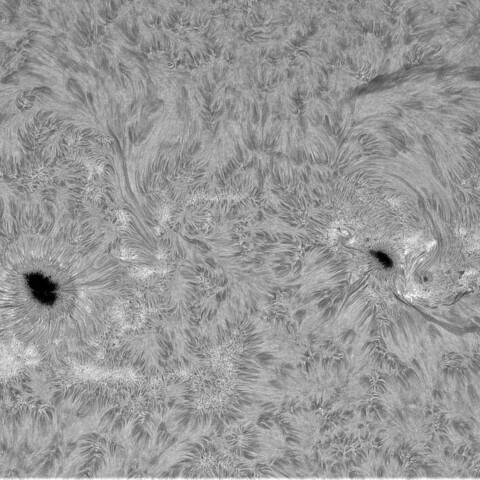 11月4日の太陽②（3879，3878）　