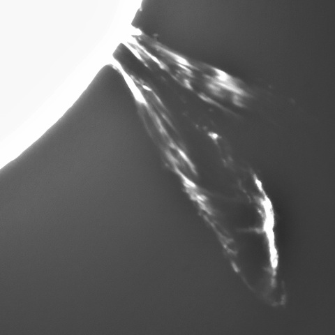 11月7日の太陽①（プロミネンス噴出 南西縁）　