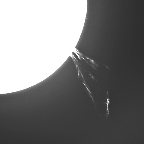 11月7日の太陽（プロミネンス噴出南西縁    やり直し  ）　