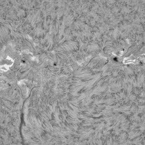 11月8日の太陽（3886、3884、3883 ）　