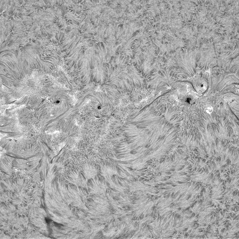 11月9日の太陽①（3886、3884、3883 ）　
