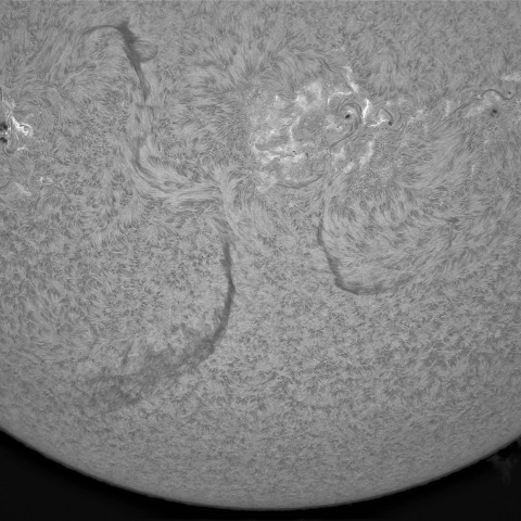 11月10日の太陽①（南半球の活動領域 ）　
