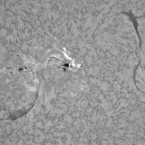 11月11日の太陽①（3889）　