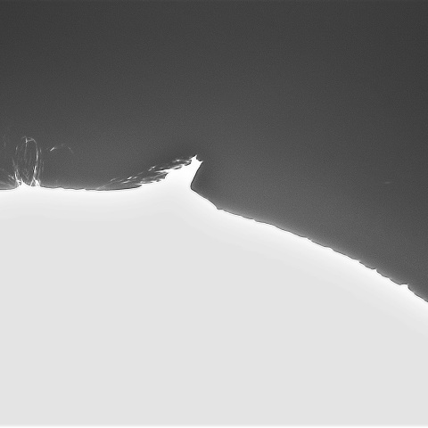 11月21日の太陽①（プロミネンス南西縁）　