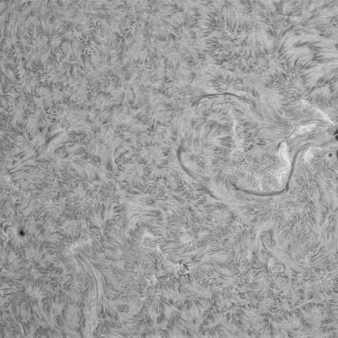 11月23日の太陽①（3906，3905，3902，3901）　