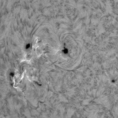 11月25日の太陽①（3906，3905，3902，3901）　