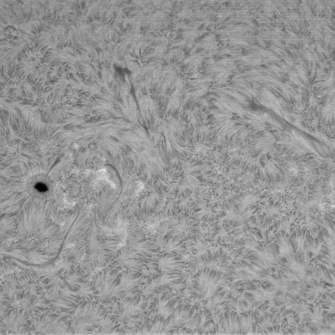 12月01日の太陽②（3910）　