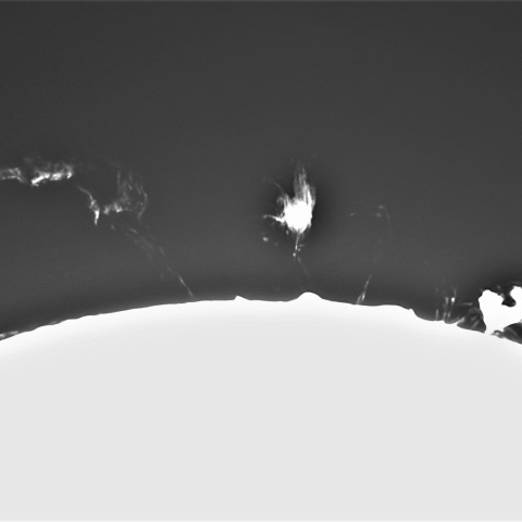 12月01日の太陽①（プロミネンス西縁）　