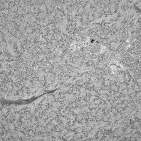 12月10日の太陽②（3921，3917，3916）　