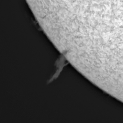 12月17日の太陽①（プロミネンス南東縁）　