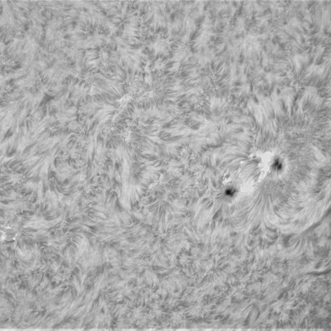 12月19日の太陽①（3922、3924）　