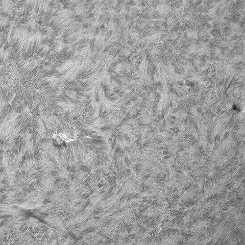 12月20日の太陽②（3922、3924）　