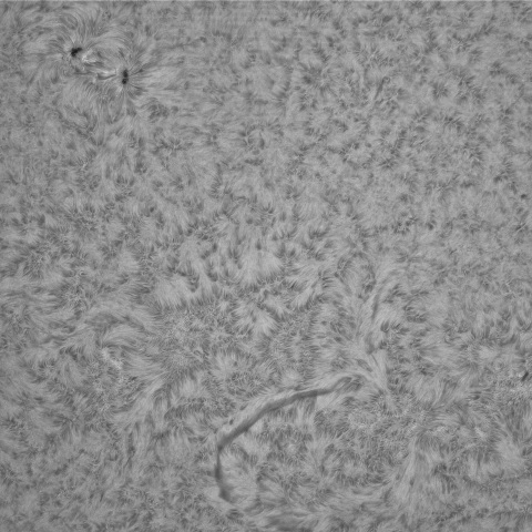 1月11日の太陽② (3956,3950)