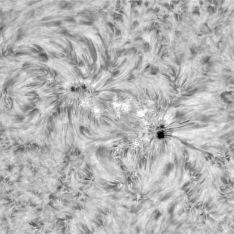 1月13日の太陽① (3956)