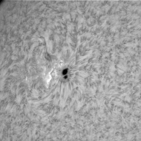 1月16日の太陽① (3962,3959,3963)