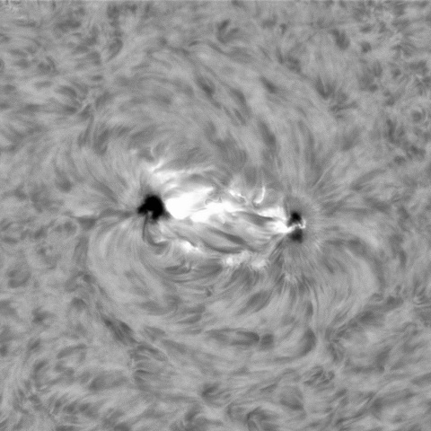 1月17日の太陽② (3964 M1.3フレア)