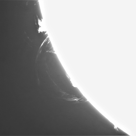 1月17日の太陽① （プロミネンス南東縁）