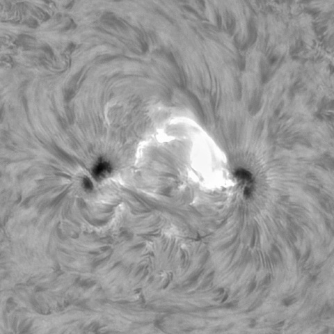 1月18日の太陽③ （3964 M1.1フレア）