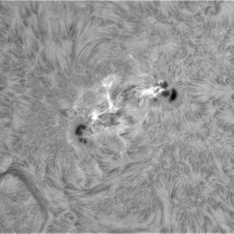 1月18日の太陽① （3961）