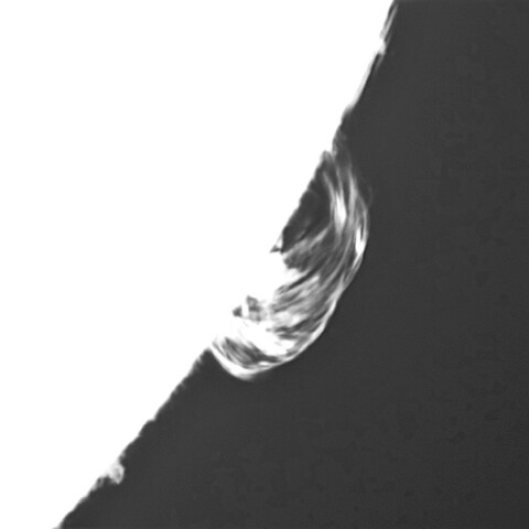 1月19日の太陽① （プロミネンス南西縁）