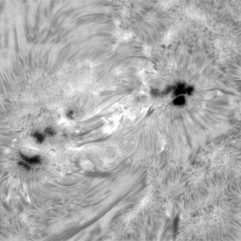 1月21日の太陽③ （3961）