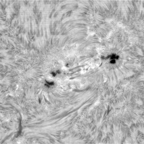 1月21日の太陽② （3961）