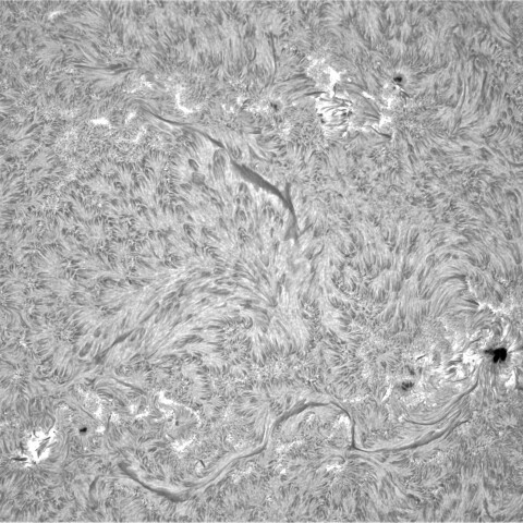 1月23日の太陽 ①（西半球）