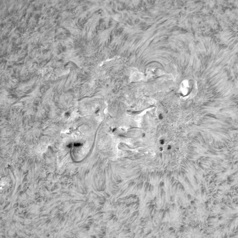 2月1日の太陽 ①（3981，3978，3977，3976）