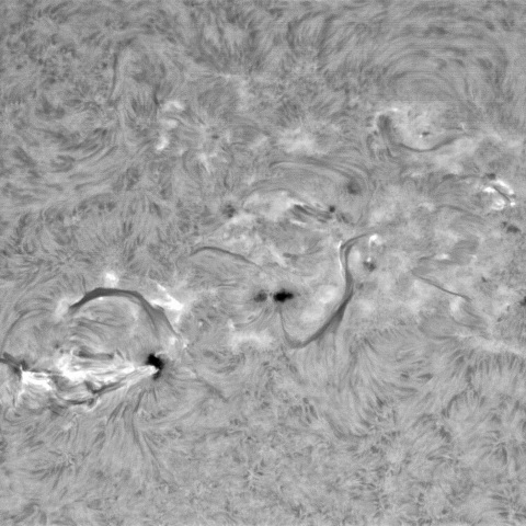2月3日の太陽 ①（3981，3978，3977，3976）