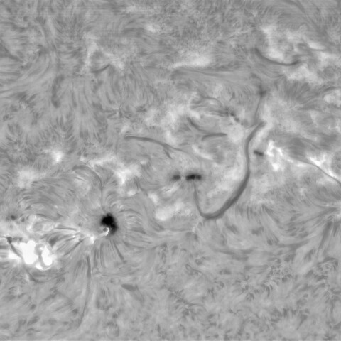 2月4日の太陽②（3981 M1.2フレア）