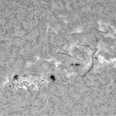 2月4日の太陽①（3982,3981,3978,3977,3976 ）