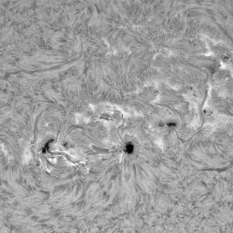 2月5日の太陽①（3982,3981,3978,3977,3976 ）