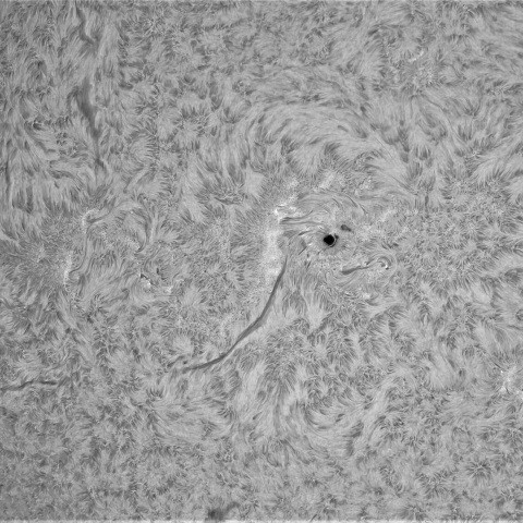 2月15日の太陽①（3993，3991，3990 ）