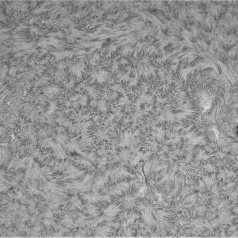 2月21日の太陽②（4000，3999，3993 ）