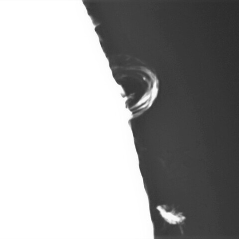 2月23日の太陽①（ポストフレアループXXXⅤ ）