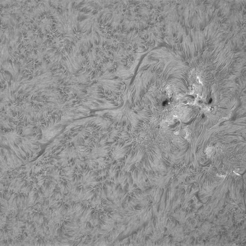 2月25日の太陽③（3998，3996 ）