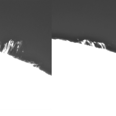 2月25日の太陽（ポストフレアループXXXⅦ ）