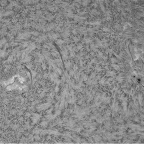 2月27日の太陽①（東半球　９０度右回転）