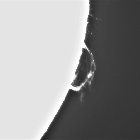 3月1日の太③（プロミネンス南西縁）