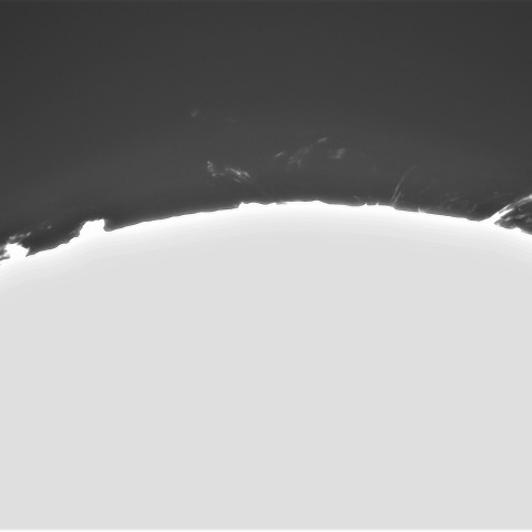 3月1日の太②（プロミネンス西縁）