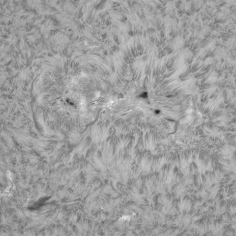 3月7日の太陽①（4016，4012）