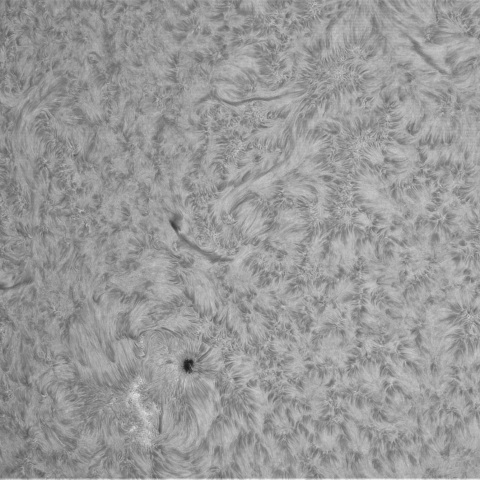 3月9日の太陽②（4019，4018）