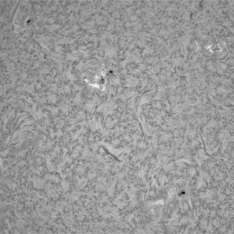 3月12日の太陽①（東半球）