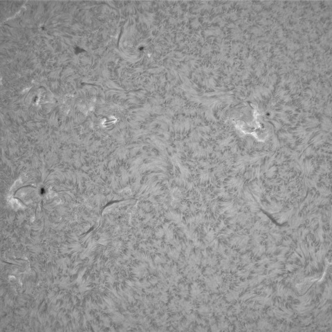 3月14日の太陽①（東半球）