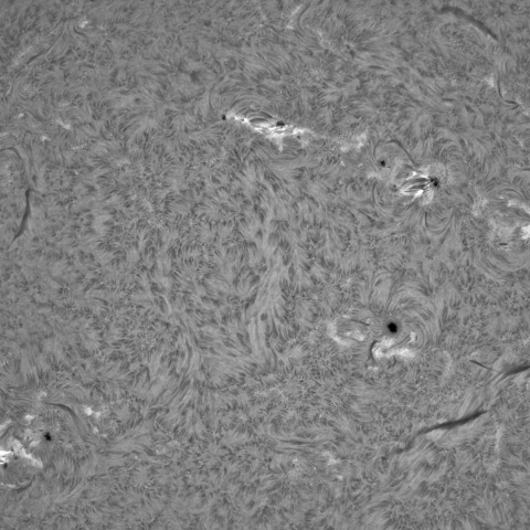 3月17日の太陽①（黒点帯）