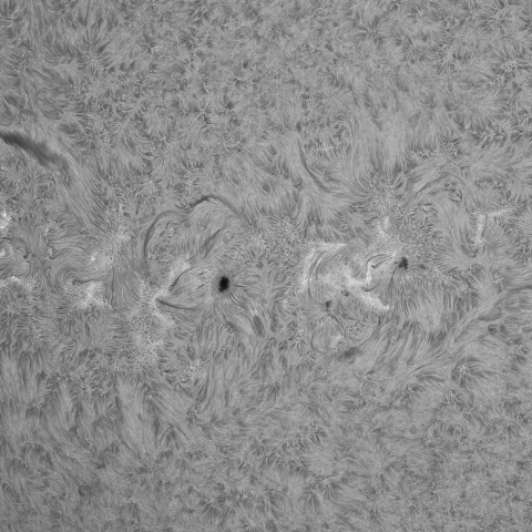 3月18日の太陽③（南東面）