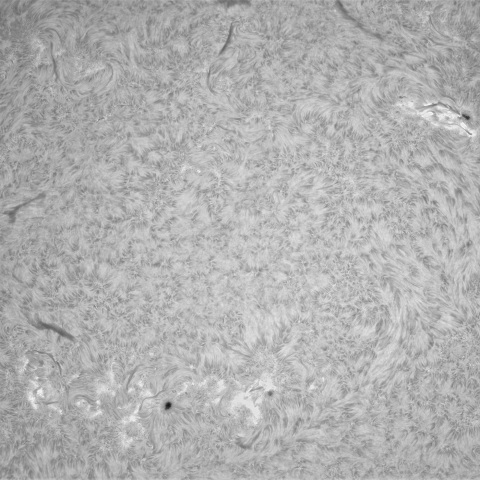 3月19日の太陽①（正面）