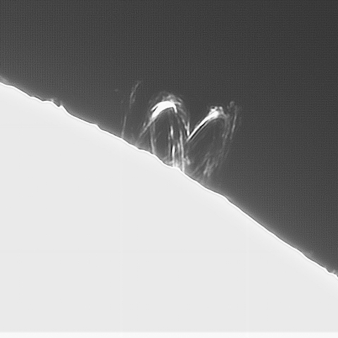 3月20日の太陽（ポストフレアループXXXⅧ　南西縁）