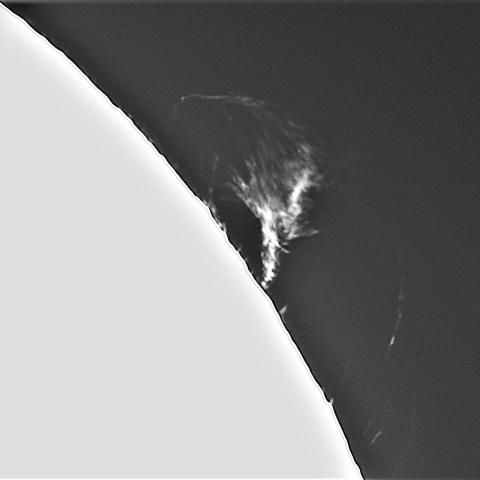 3月23日の太陽②（プロミネンス北西縁）